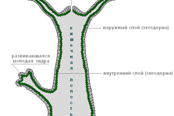 Где взять ссылку кракена