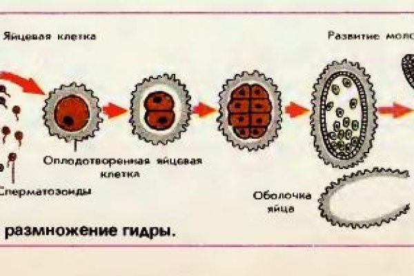 Кракен сайт как выглядит