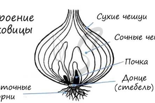 Как найти ссылку на кракен