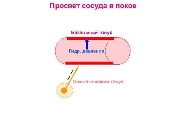 Как зарегистрироваться на кракене из россии