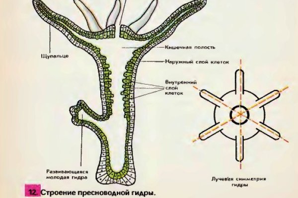 Как пополнить баланс кракен